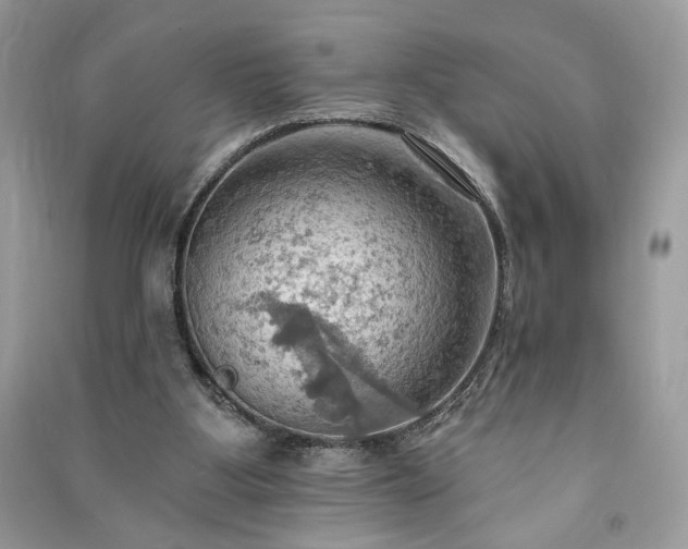 X0000090980107200708091506