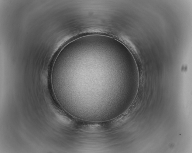 X0000090980108200708091506