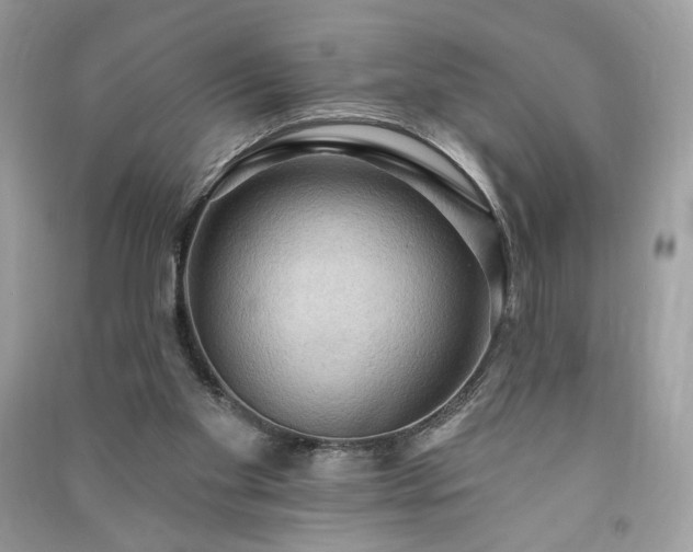 X0000090980109200708091506