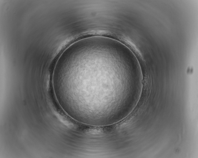 X0000090980110200708091506
