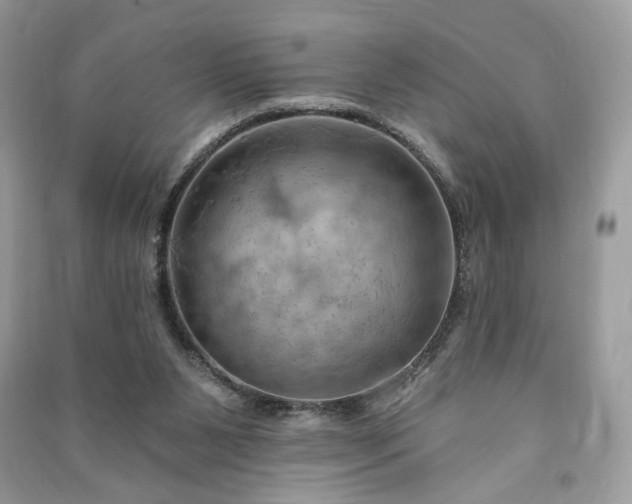 X0000090980111200708091506