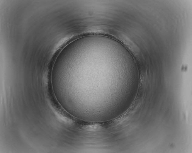 X0000090980112200708091506