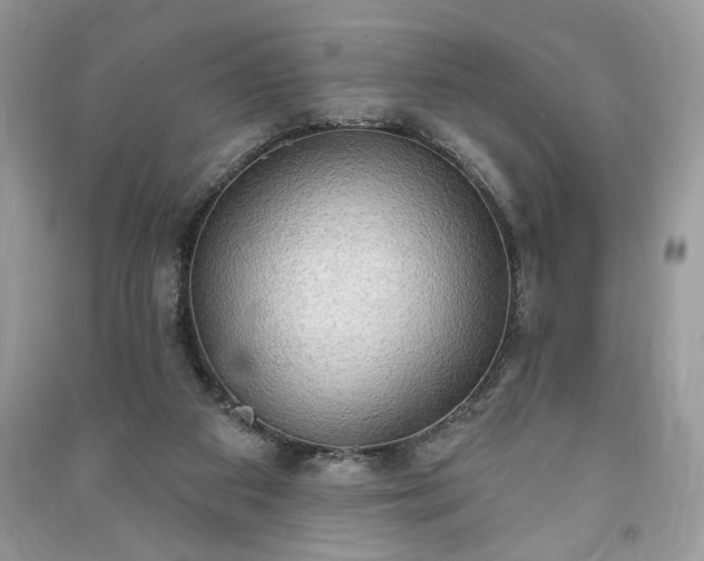 X0000090980113200708091506