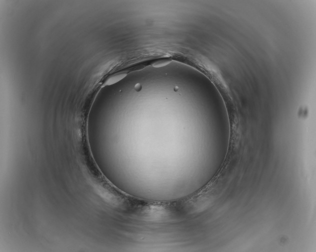 X0000090980114200708091506
