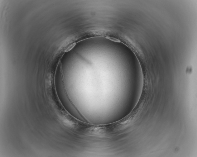 X0000090980117200708091506