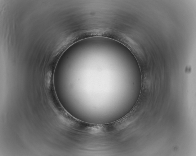 X0000090980118200708091506