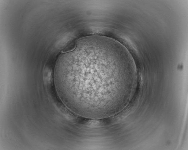 X0000090980123200708091506