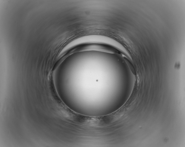 X0000090980125200708091506