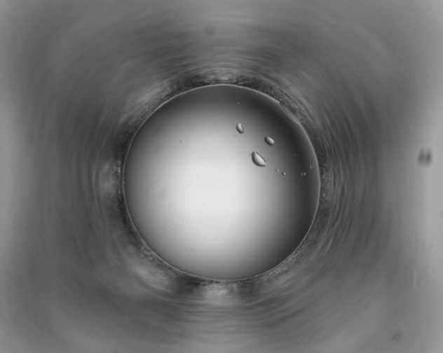 X0000090980126200708091506