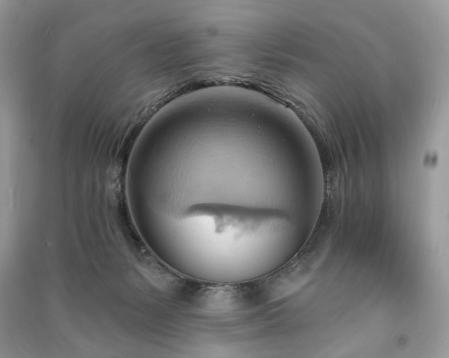 X0000090980127200708091506