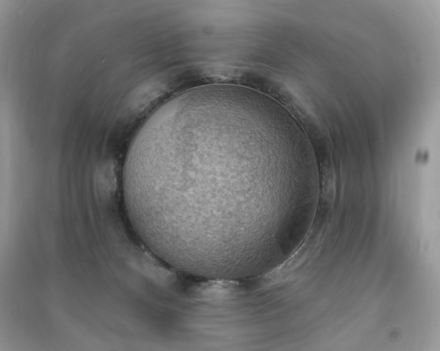 X0000090980128200708091506