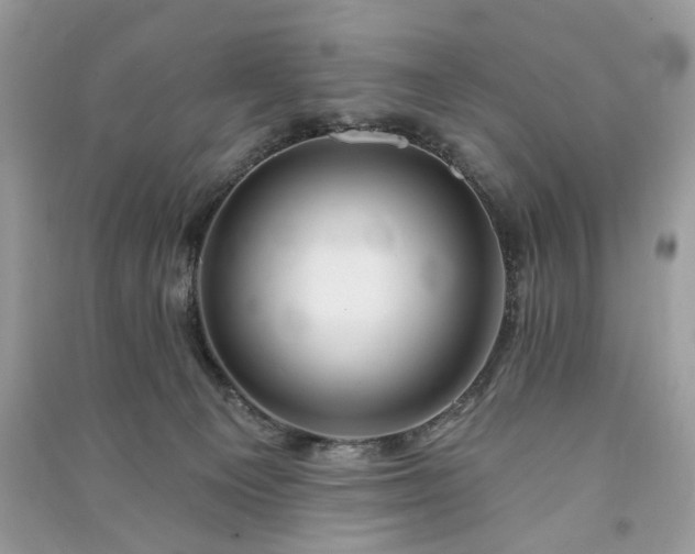 X0000090980129200708091506