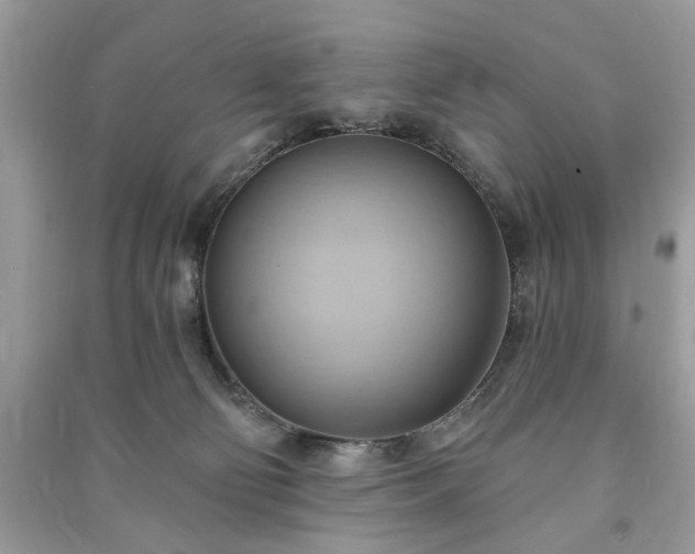 X0000090980130200708091506