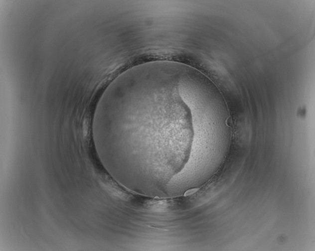 X0000090980131200708091506