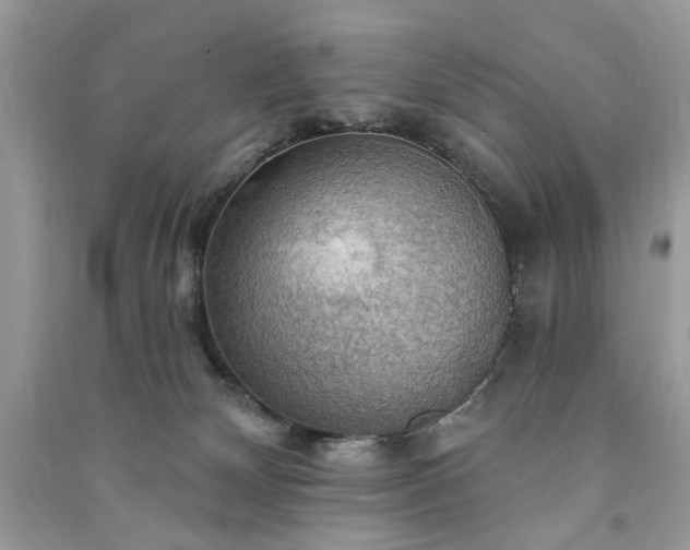 X0000090980132200708091506