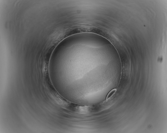 X0000090980134200708091506