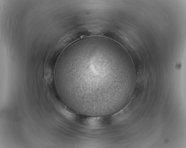 X0000090980136200708091506