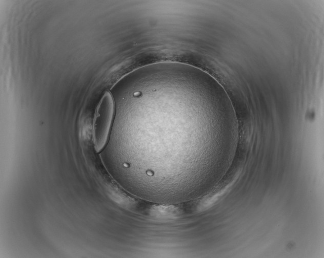 X0000090980137200708091505