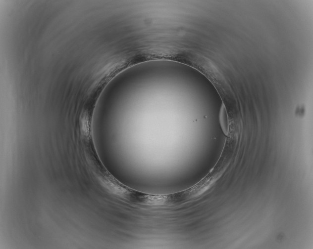 X0000090980143200708091505