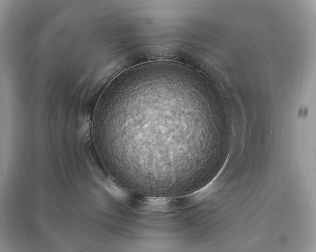 X0000090980144200708091505