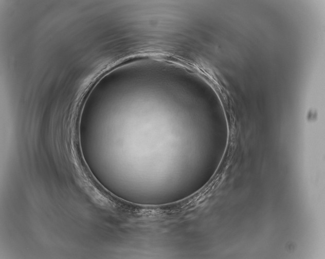 X0000090980145200708091505