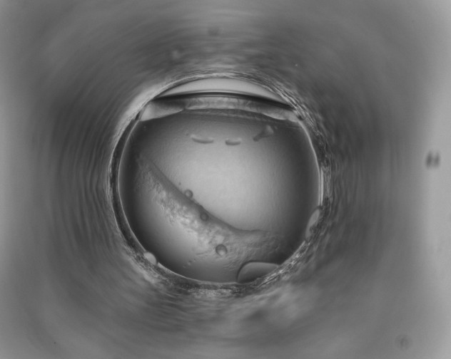 X0000090980147200708091505
