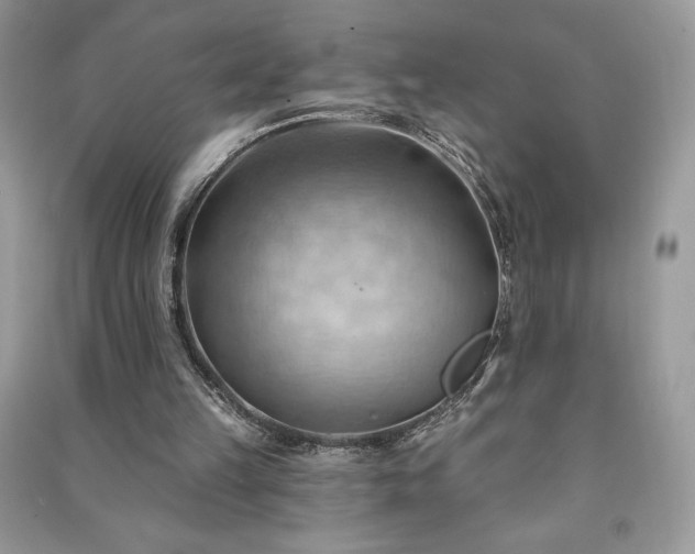 X0000090980149200708091505