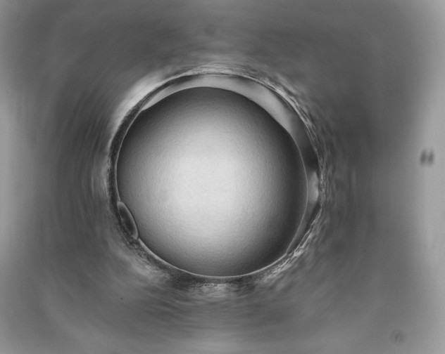 X0000090980152200708091505