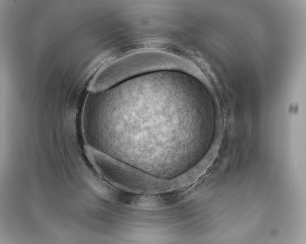 X0000090980154200708091505