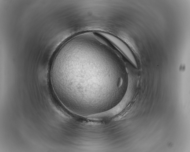 X0000090980156200708091505