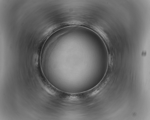X0000090980157200708091505
