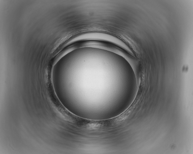 X0000090980158200708091505