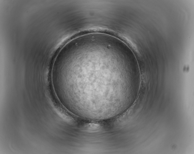 X0000090980159200708091505