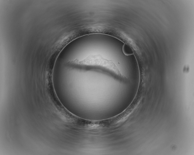 X0000090980161200708091505