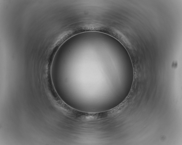 X0000090980163200708091505