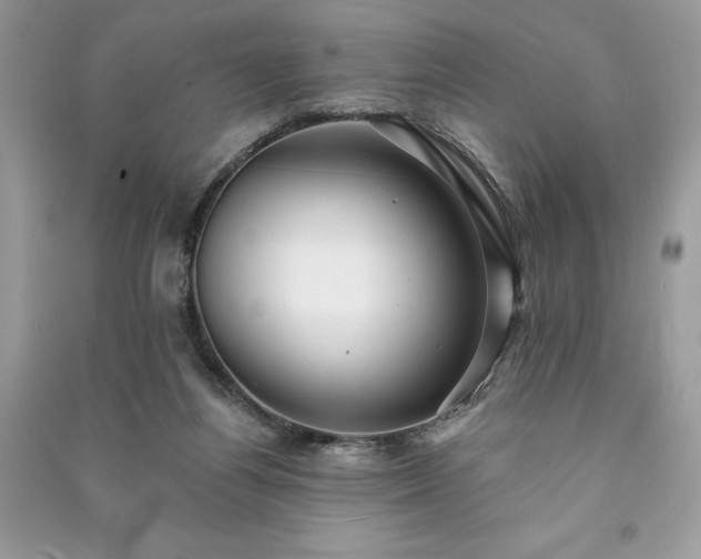 X0000090980164200708091505