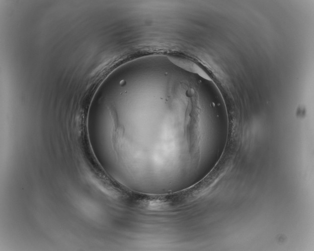 X0000090980165200708091505
