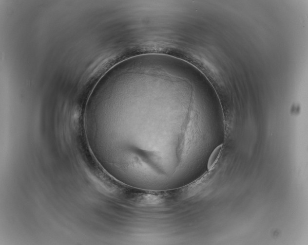 X0000090980166200708091505