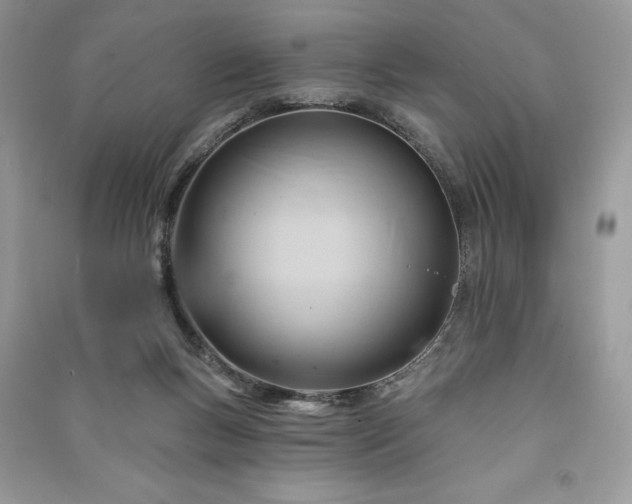 X0000090980167200708091505