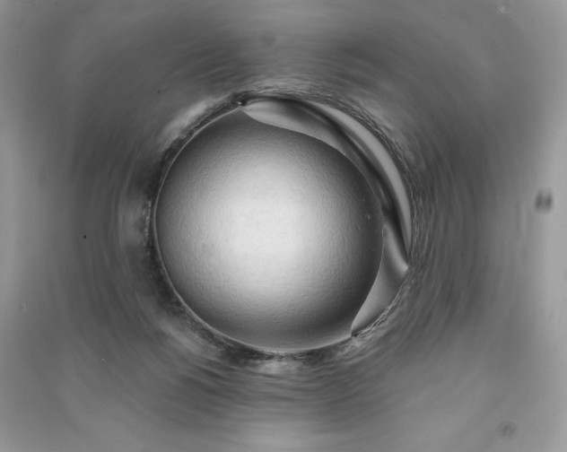 X0000090980168200708091505