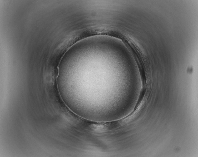 X0000090980170200708091505