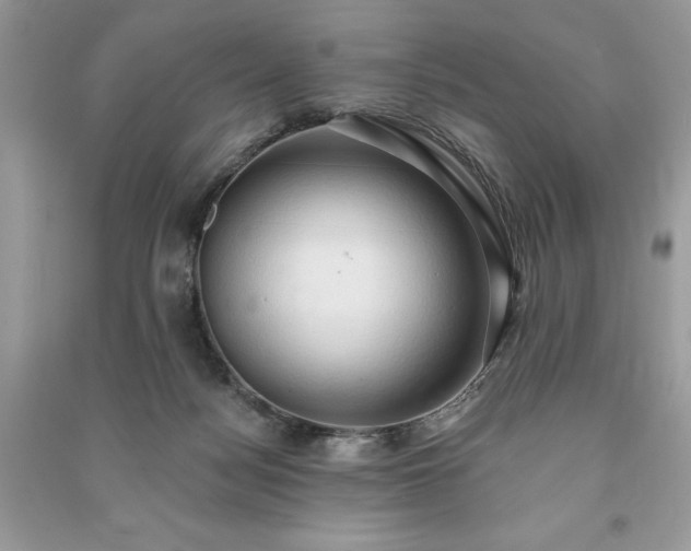 X0000090980172200708091505