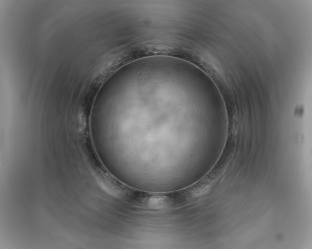 X0000090980173200708091505