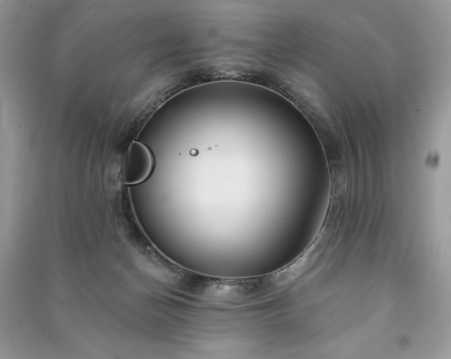 X0000090980174200708091505