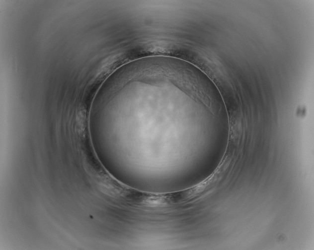 X0000090980175200708091505