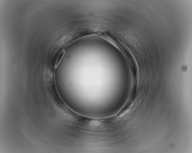 X0000090980176200708091505