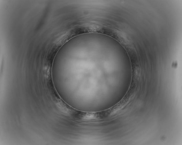 X0000090980177200708091505