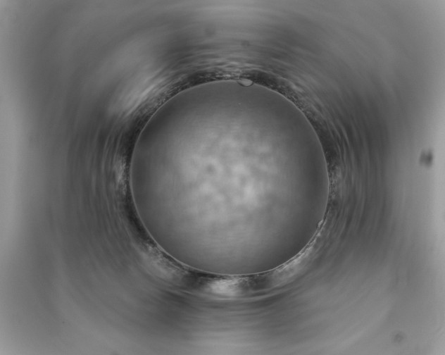 X0000090980178200708091505