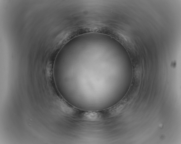 X0000090980181200708091505