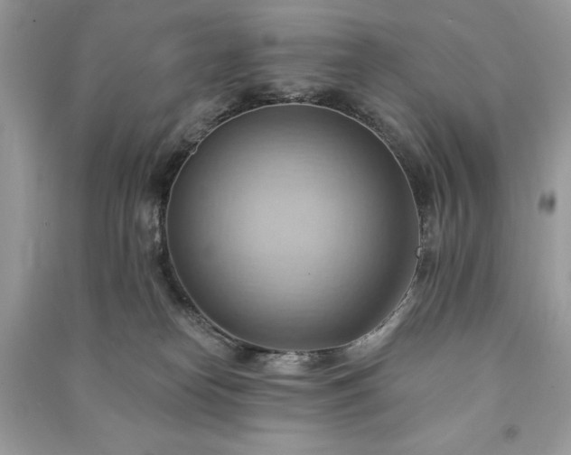X0000090980182200708091505
